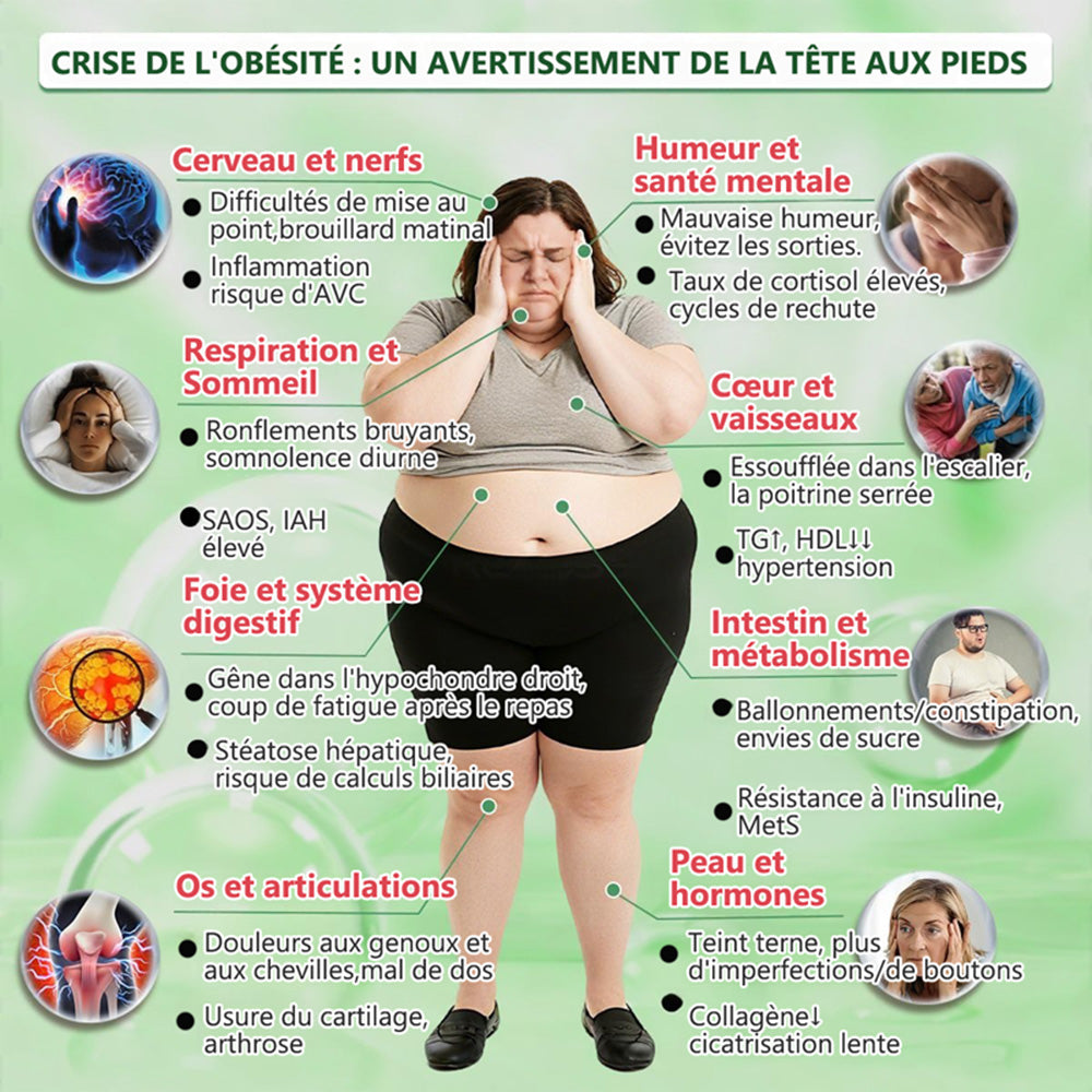 【DERNIER JOUR DE PROMO 80% DE RÉDUCTION】🇫🇷 Healrize® Moringa · Berbérine × NAD+ Patch 10-en-1 Avancé à Nano-microaiguilles 📦 7 Patchs par Boîte · Approvisionnement pour 1 Semaine