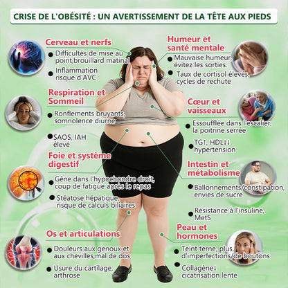 【DERNIER JOUR DE PROMO 80% DE RÉDUCTION】🇫🇷 Healrize® Moringa · Berbérine × NAD+ Patch 10-en-1 Avancé à Nano-microaiguilles 📦 7 Patchs par Boîte · Approvisionnement pour 1 Semaine